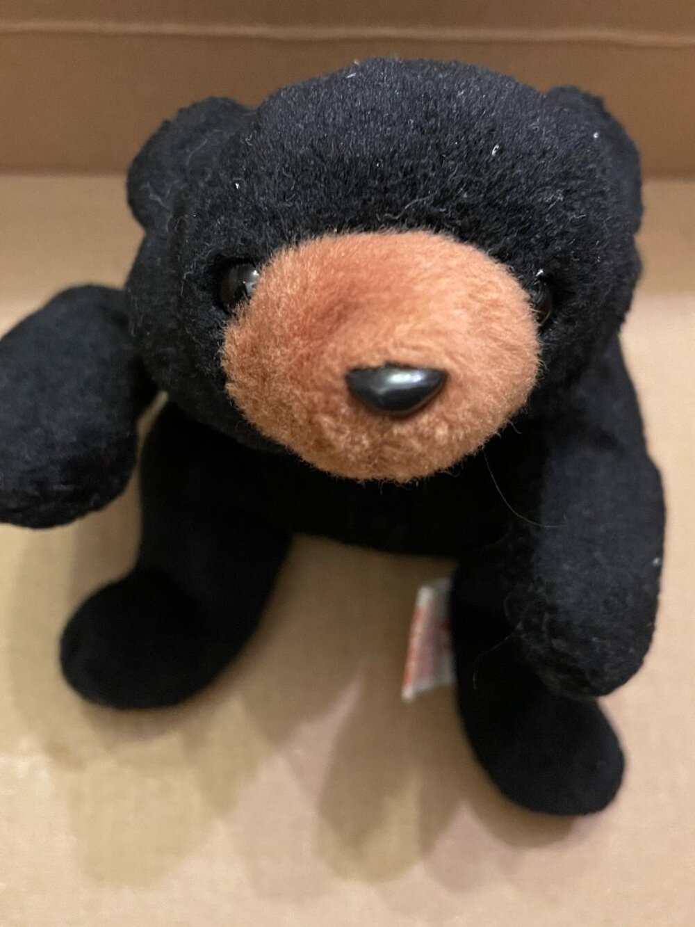 Blackie the Bear, a vintage plush toy from the Ty Beanie